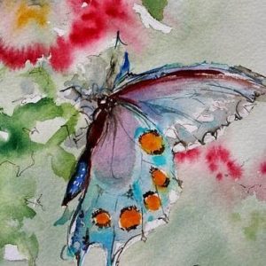 «Бабочка»